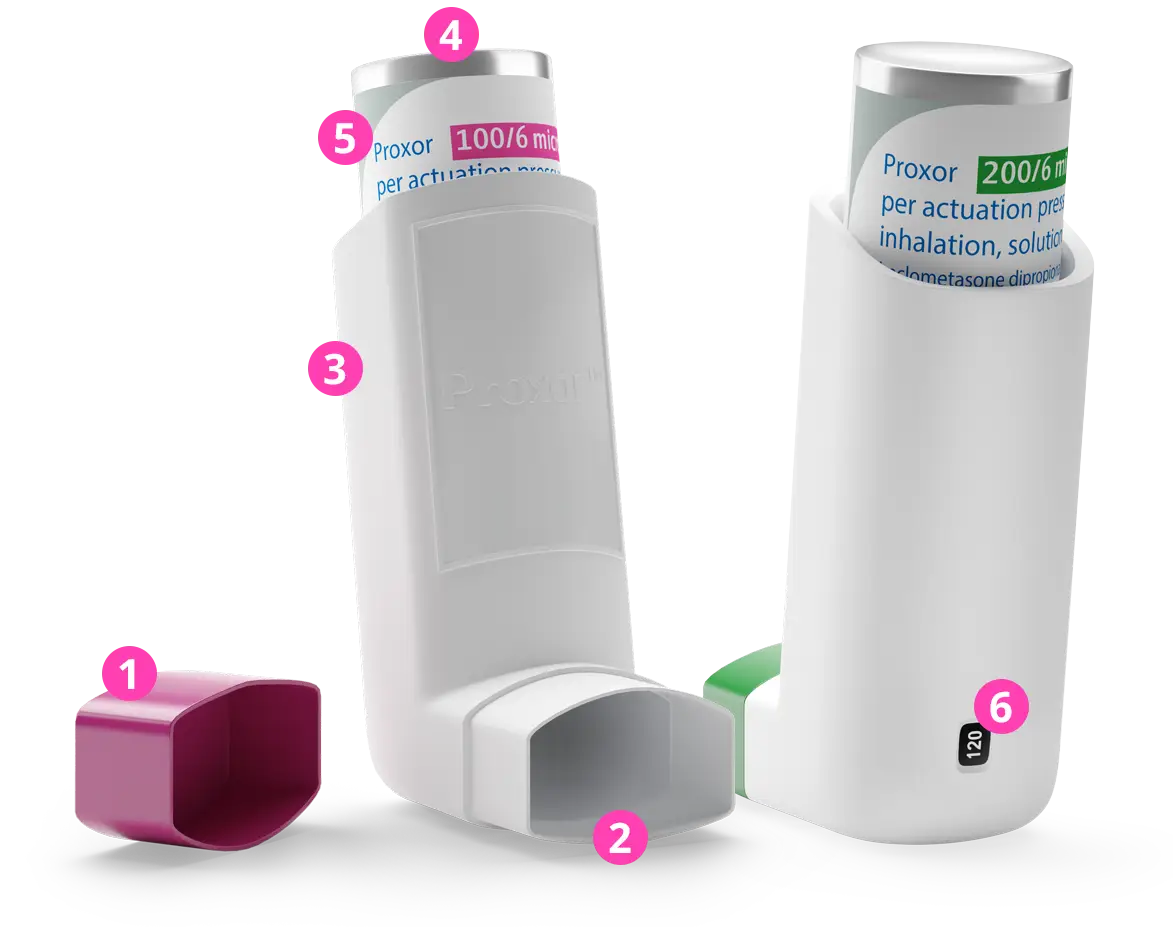 Proxor device components